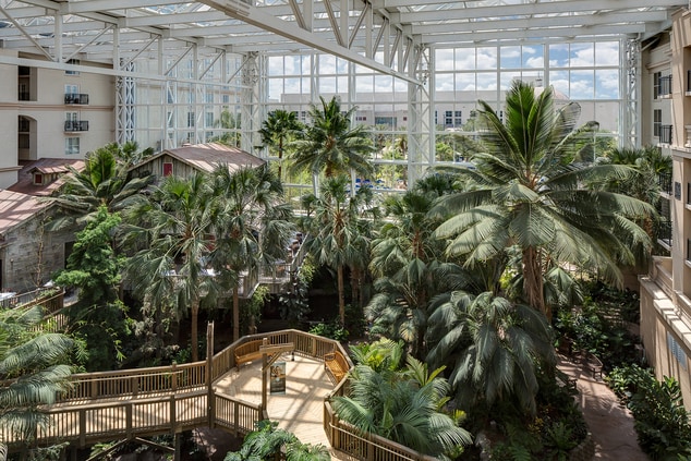 Gaylord Palms Everglades atrium