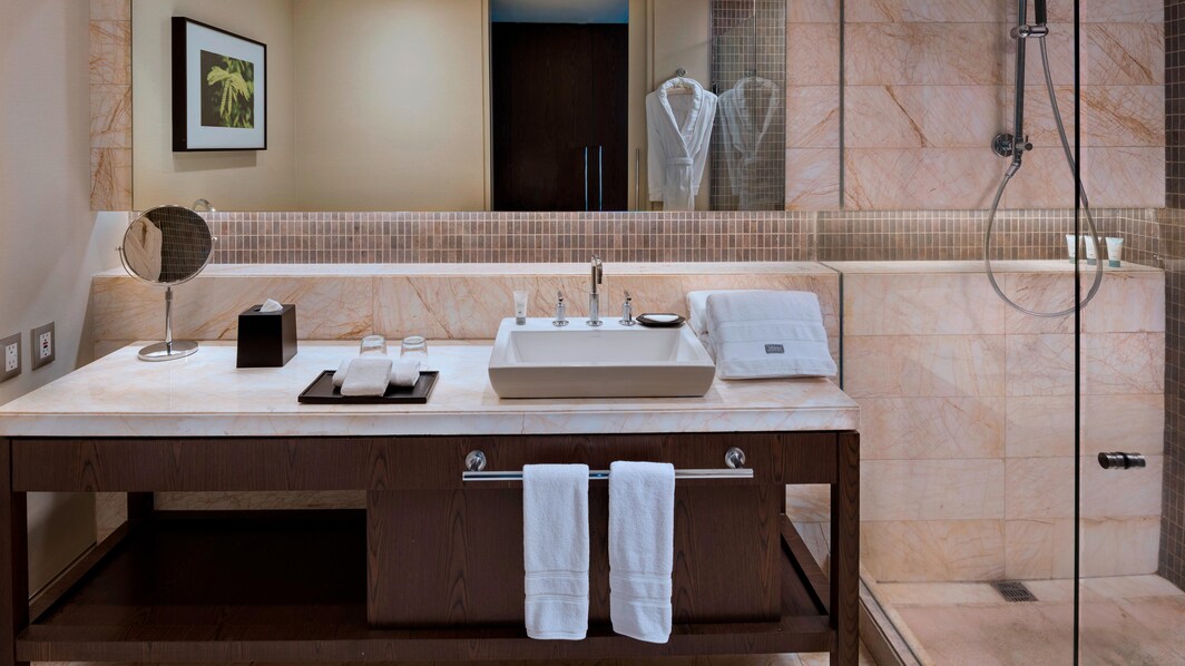 Гостевая ванная комната в номере Traditional с видом на долину – безбарьерный душ