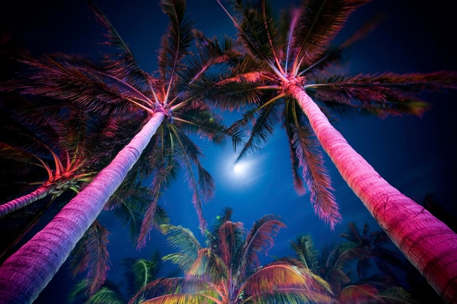 Miami por la noche