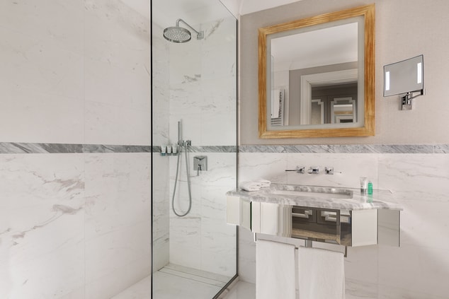 Deluxe Contemporary Bathroom – Walk-In Shower