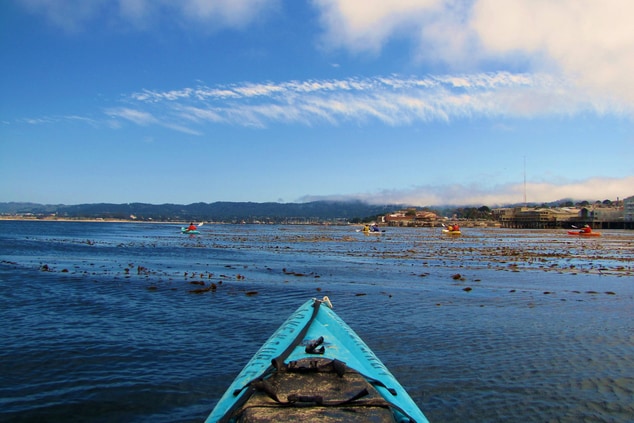 Monterey Kayaking
