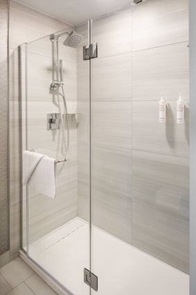 Guest Bathroom - Walk-in Shower