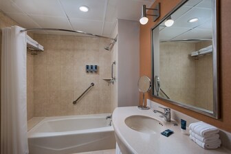 Deluxe Guest Bathroom