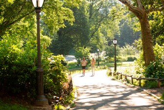 Área local - Central Park
