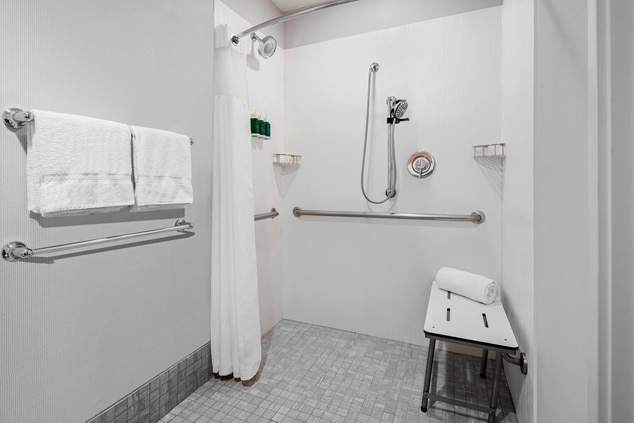 Accessibility Bathroom - Roll In Shower 