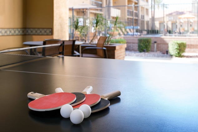 Rec Room - Ping Pong Table