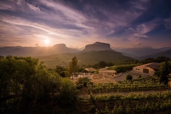 Weintouren auf Mallorca