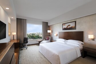 Executive Guest Room - King