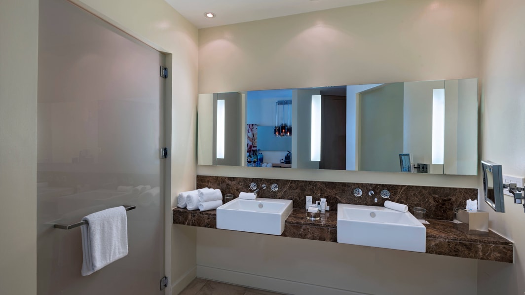 Делюкс для гостей с ограниченными возможностями – ванная комната