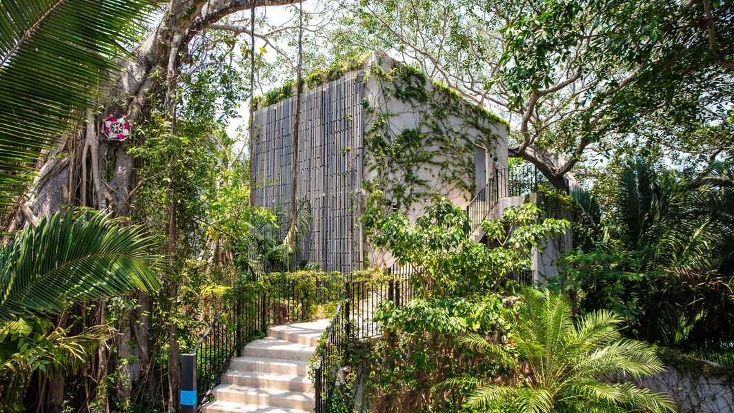Habitaciones con vistas a la jungla - Exterior