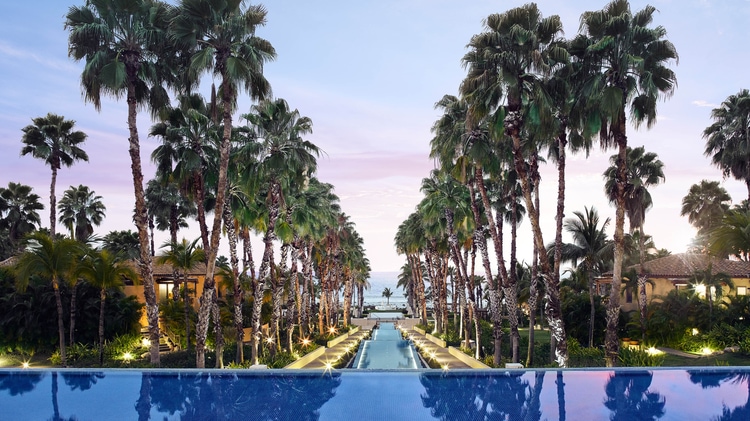 Reflecting pool with rows of palm trees leading to the ocean in the distance.