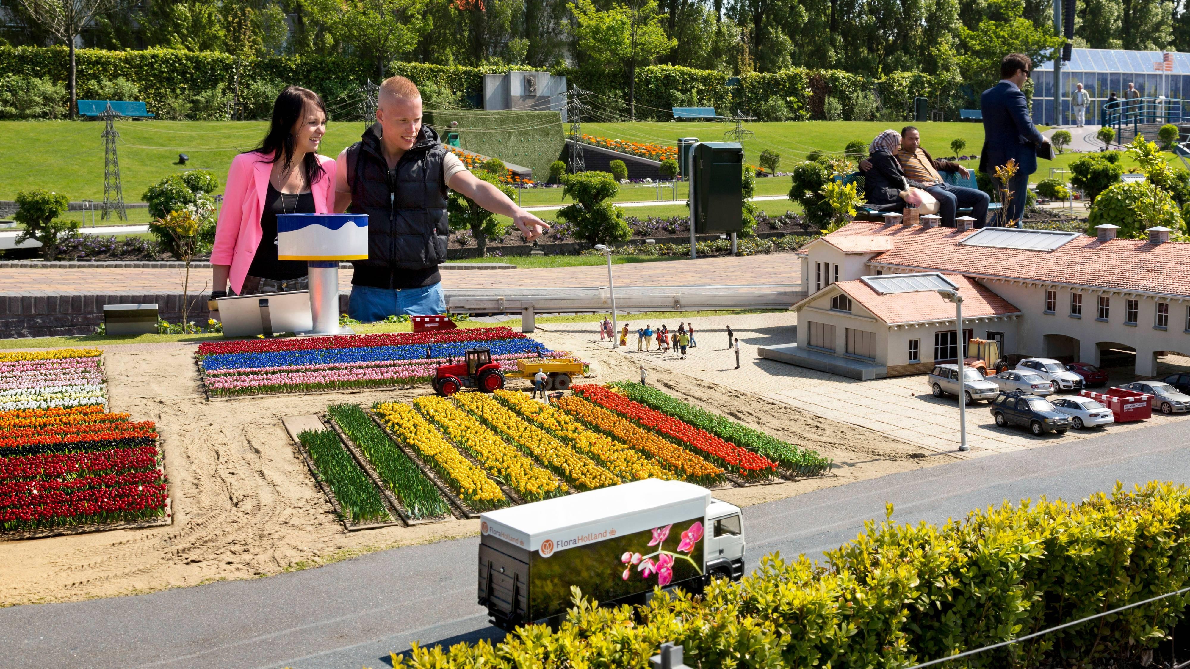 The Madurodam Experience