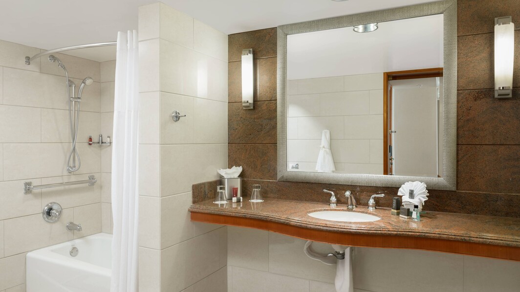 Baño de la habitación accesible para personas con discapacidades - Combinación ducha/bañera