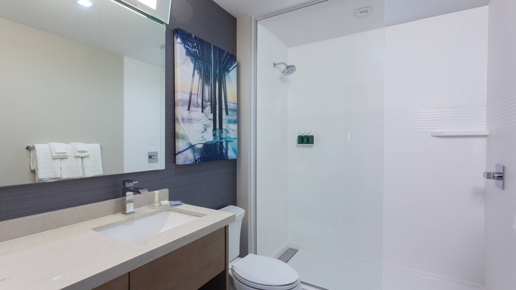Suite Vanity & Bathroom Area