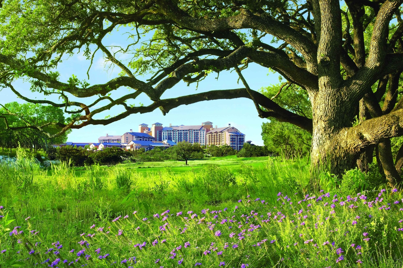 Texas Hill Country Resort