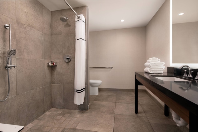 Accessible Guest Bathroom - Roll in Shower