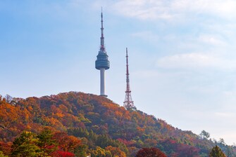 서울 남산 공원과 N 서울 타워