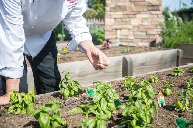 Heirloom Garden to Table culinary Delights