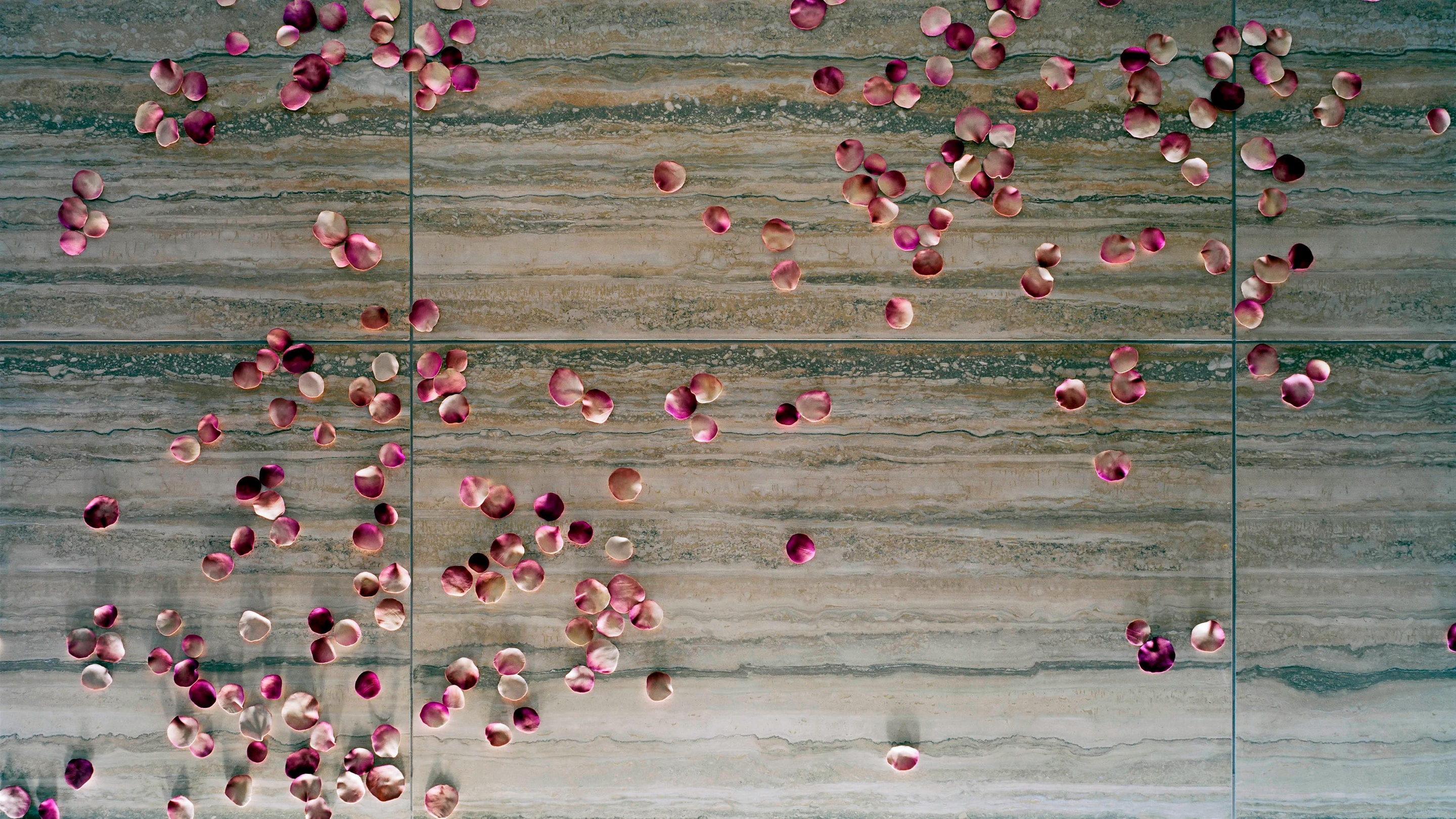 Rose Petals, Art Collection