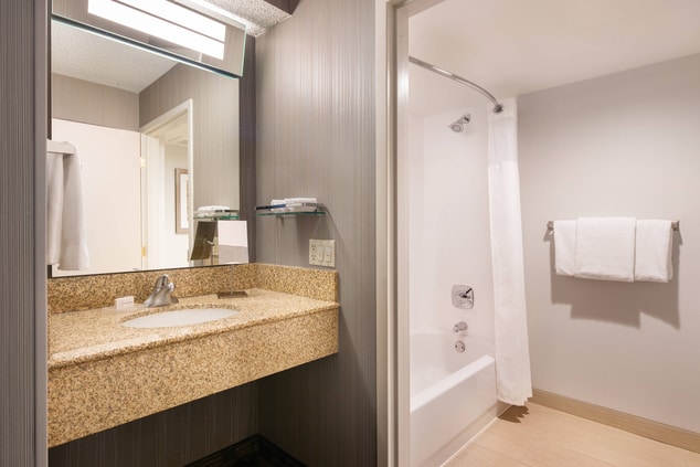 客室バスルーム - シャワーとバスタブのコンビネーション
