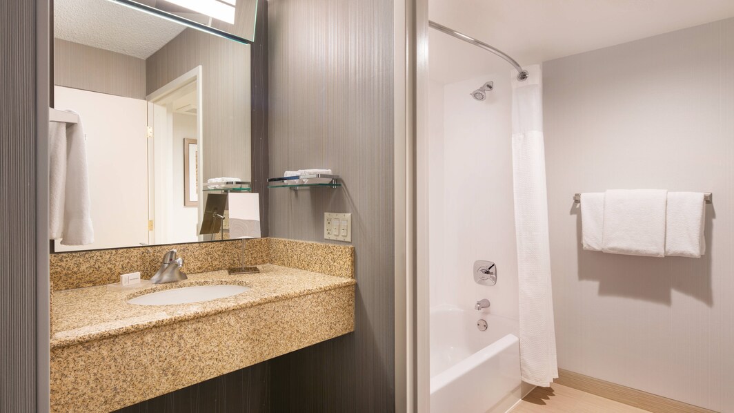 客室バスルーム - シャワーとバスタブのコンビネーション