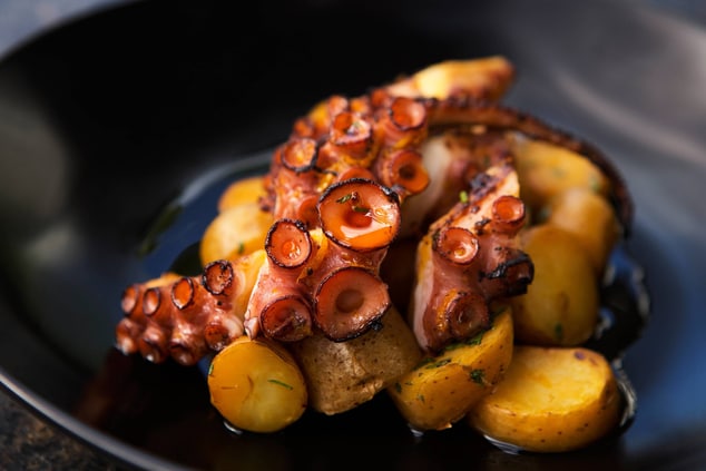 Solera - Grilled Octopus