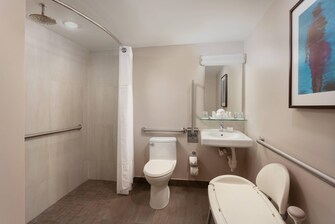 Suite Junior - Baño con instalaciones para personas con necesidades especiales