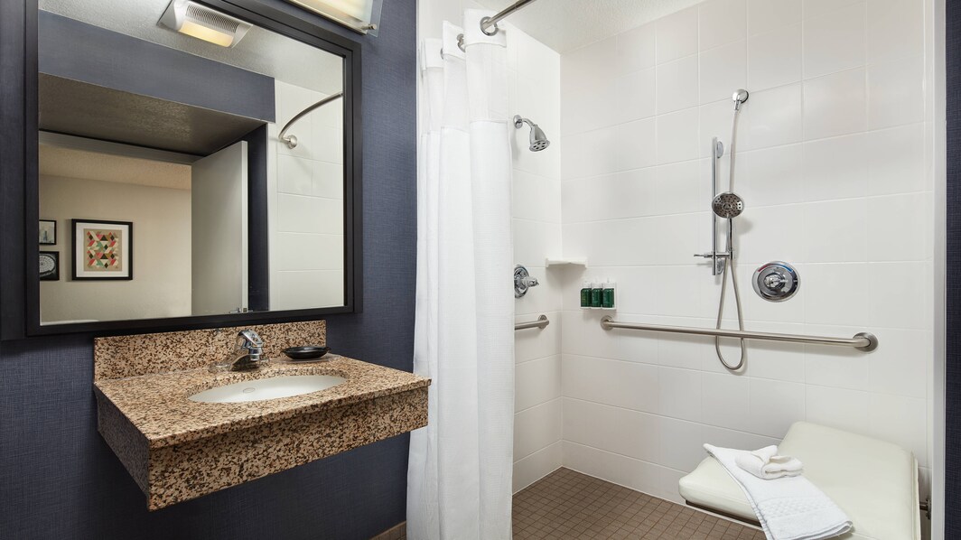Accessible Suite Bathroom - Roll-In Shower