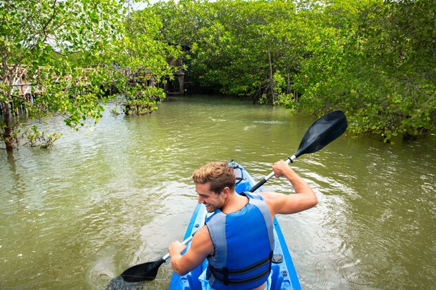 Mangrove Kayaking
