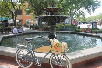 Epicurean Biking - Hyde Park Village Fountain