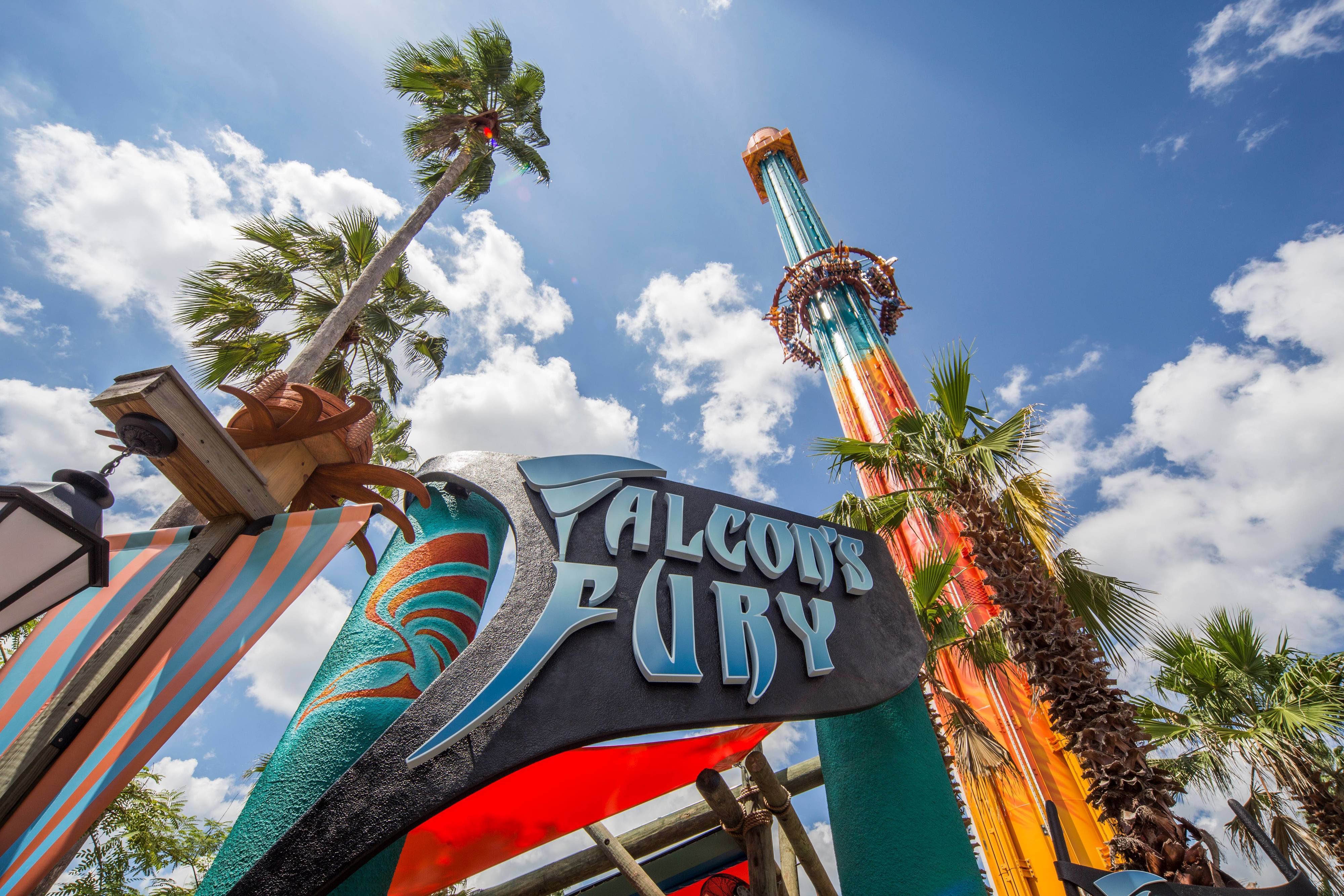 Falcons fury sign and palm trees