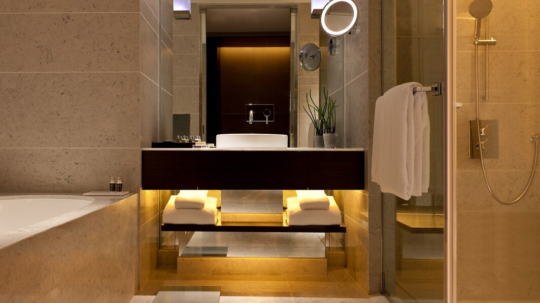 Ванная комната в делюксе – отдельные ванна и душ