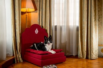 Luxury Pet Bed - Danieli Pet Glam