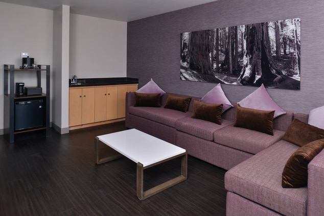 Executive Suite - Living Area