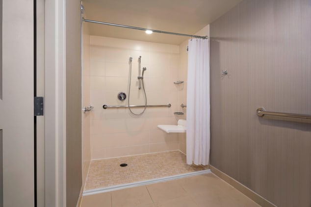 Guest Bathroom - Roll-in Shower