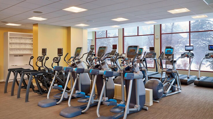 Fitness center with rows of ellipticals and treadmills. 