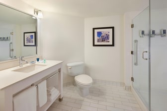 Deluxe Guest Bathroom - Walk-In Shower