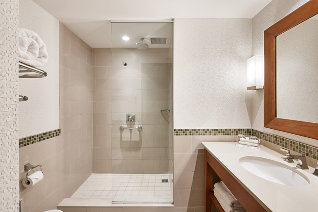 Executive Premium Guest Bathroom - Walk-In Shower