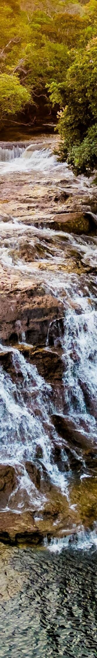 Waterfall in the middle of the Amazon rainforest