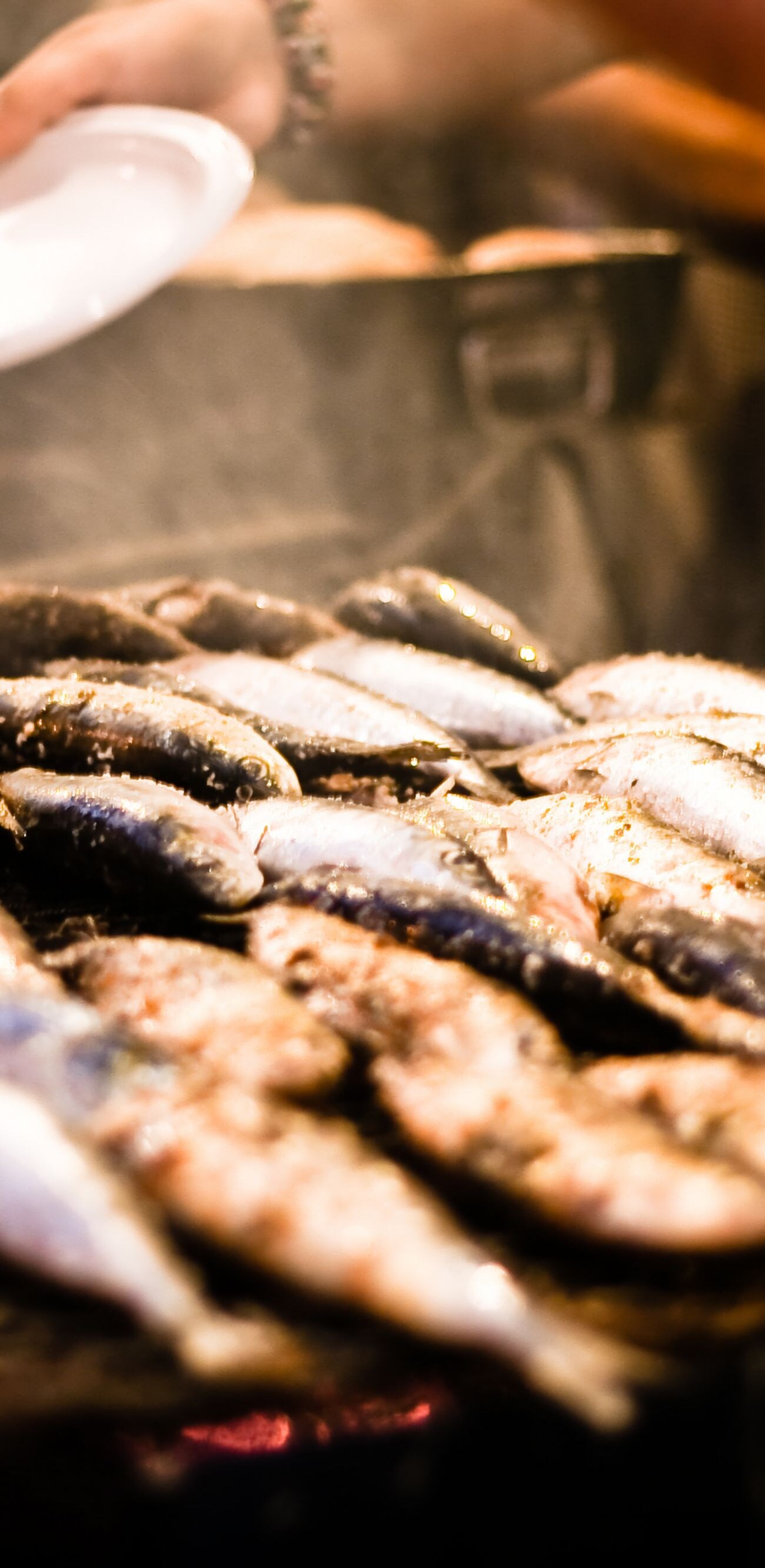 Sardinhas na brasa