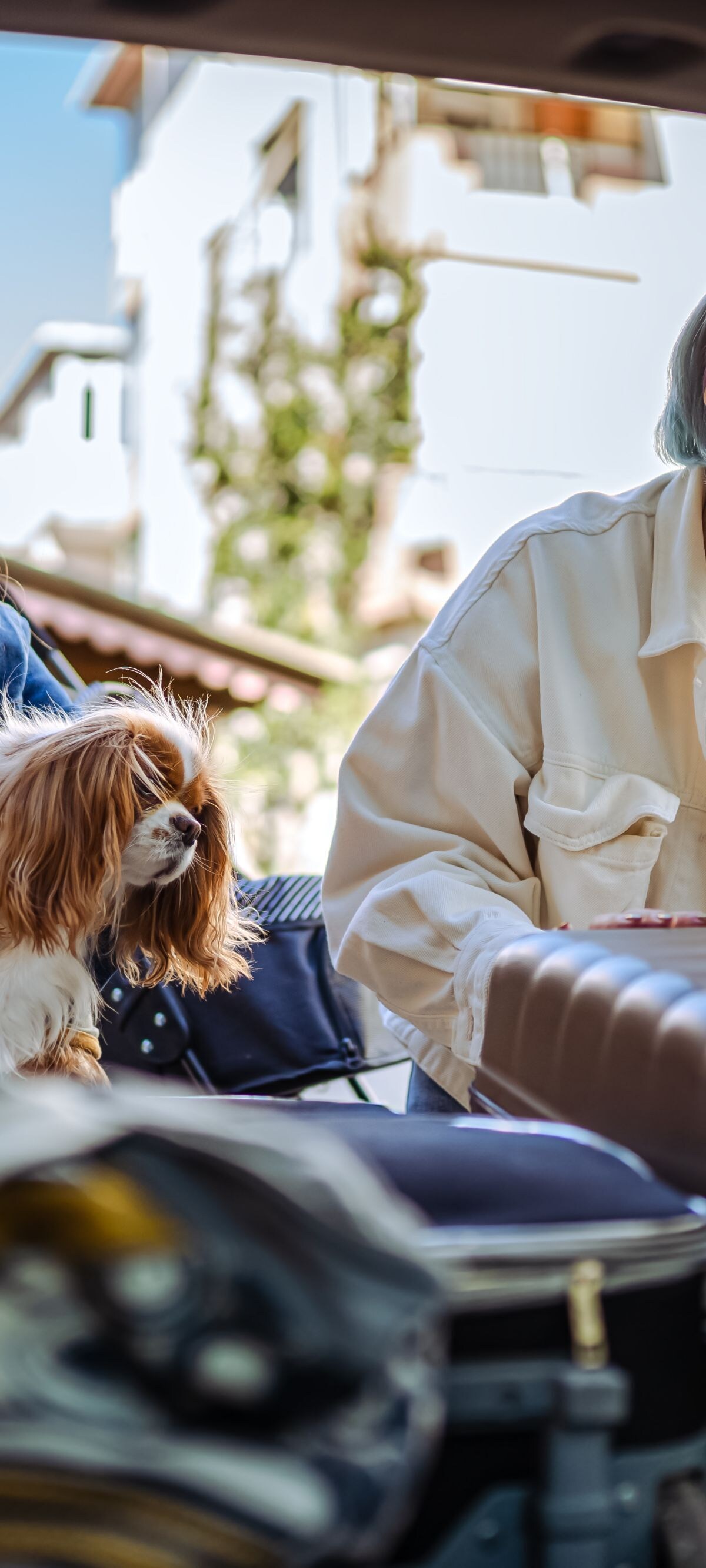 Close up of a young family and their dog packing up for a road trip