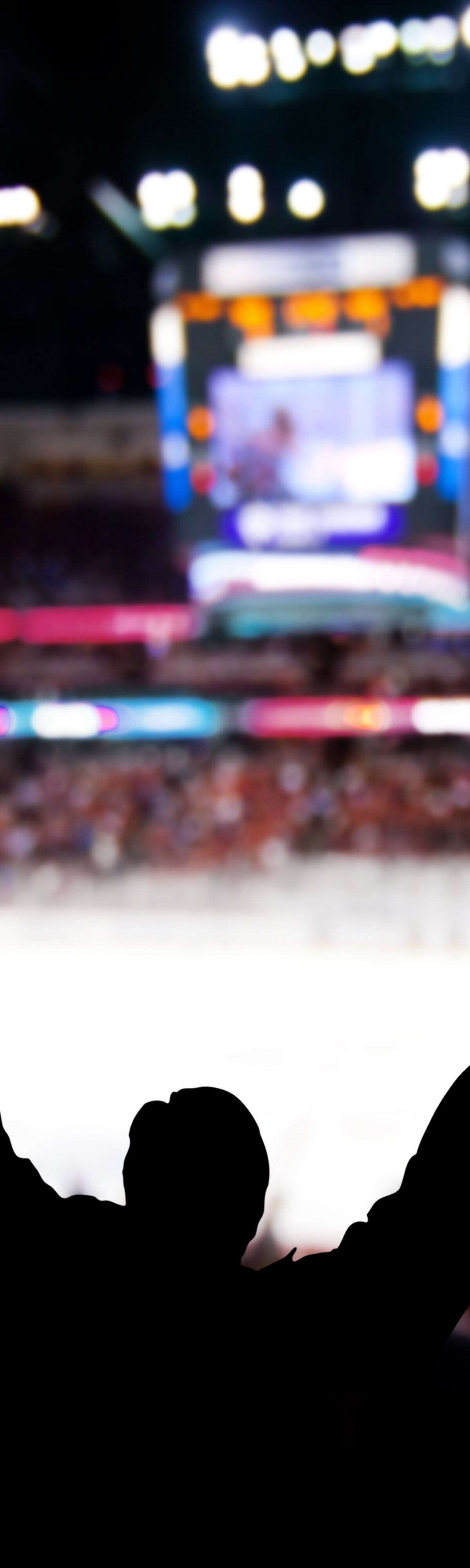 Photography, No People, Group Of People, Celebration, Fist, Winning, Fan - Enthusiast, Ice Rink, Gesturing, Spectator, Success, Competition, Excitement, White, Colors, Sport, Back Lit, Defocused, Image Focus Technique, Indoors, Horizontal, Ecstatic, Ice Hockey, Competitive Sport, Athlete, Audience, Crowd, Silhouette, Night, Ice, Stadium, Sports Venue