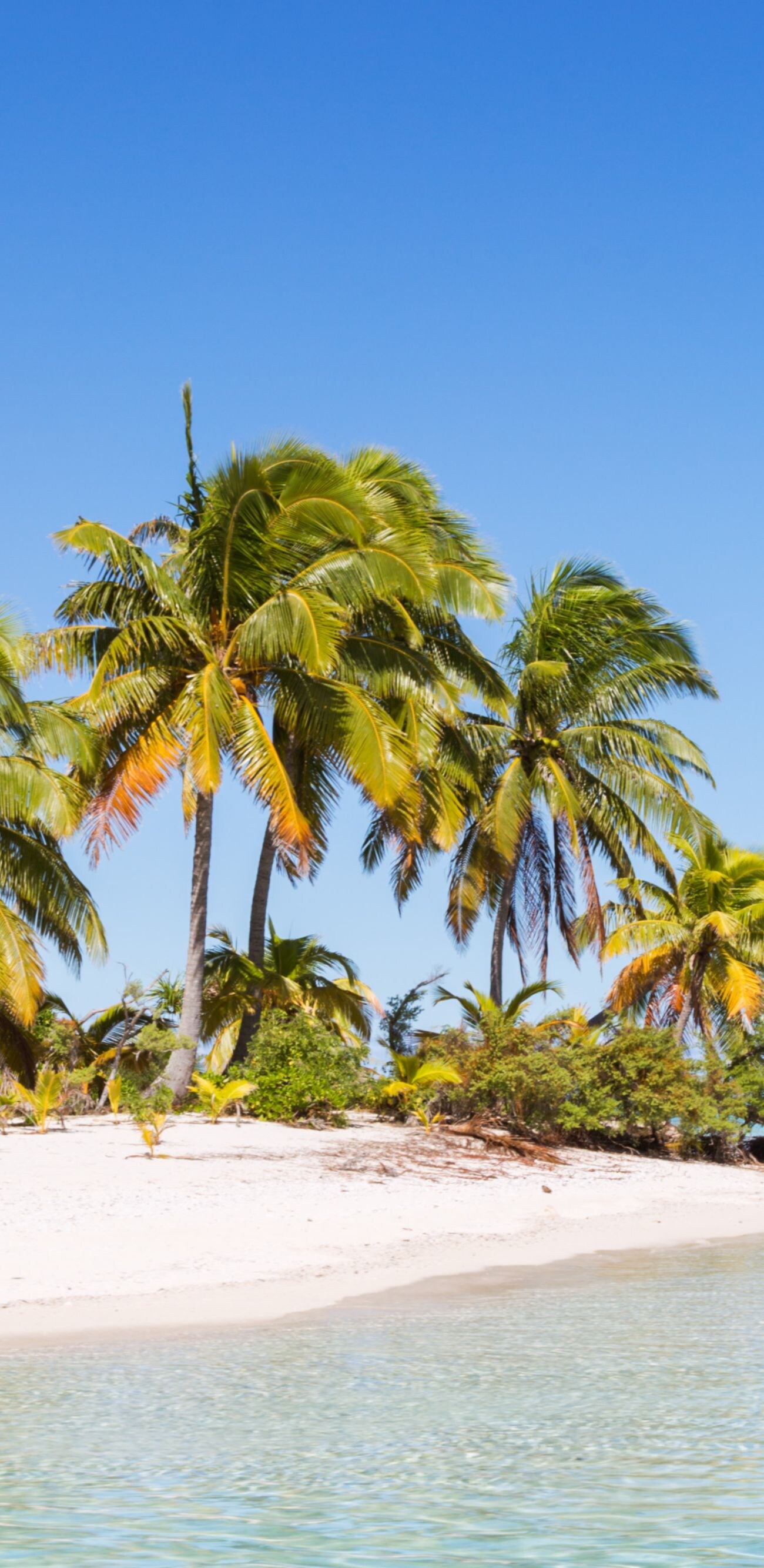 Tropical beach and turquoise sea, Aitutaki