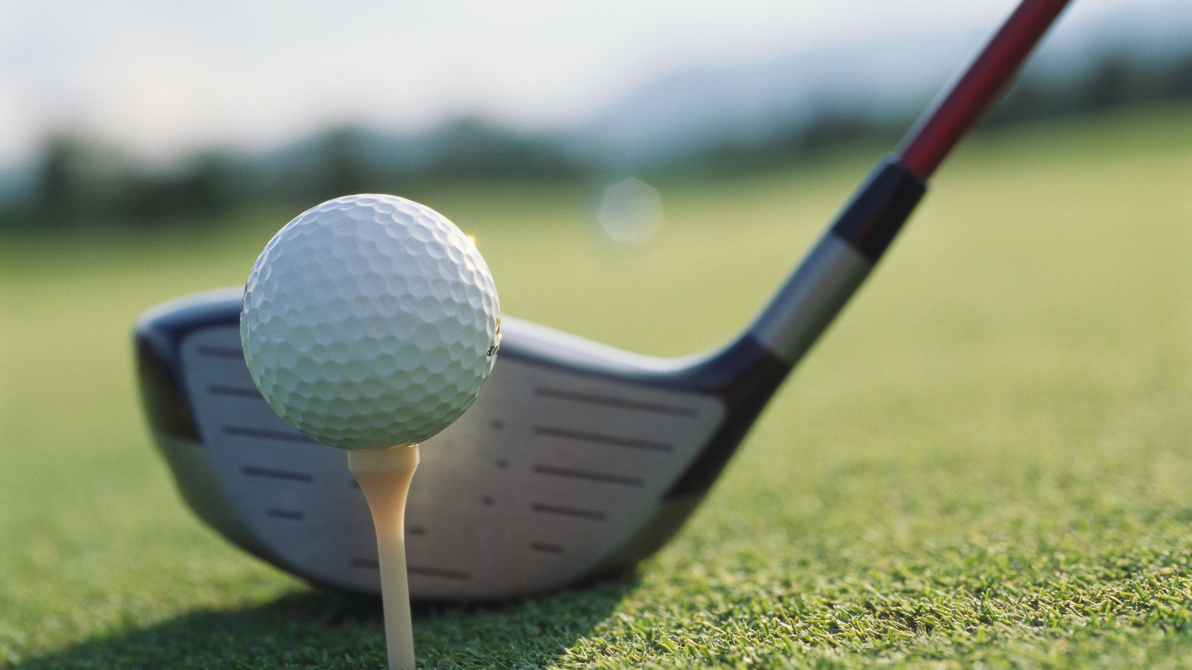 20% Off Indoor Golf at Pitch