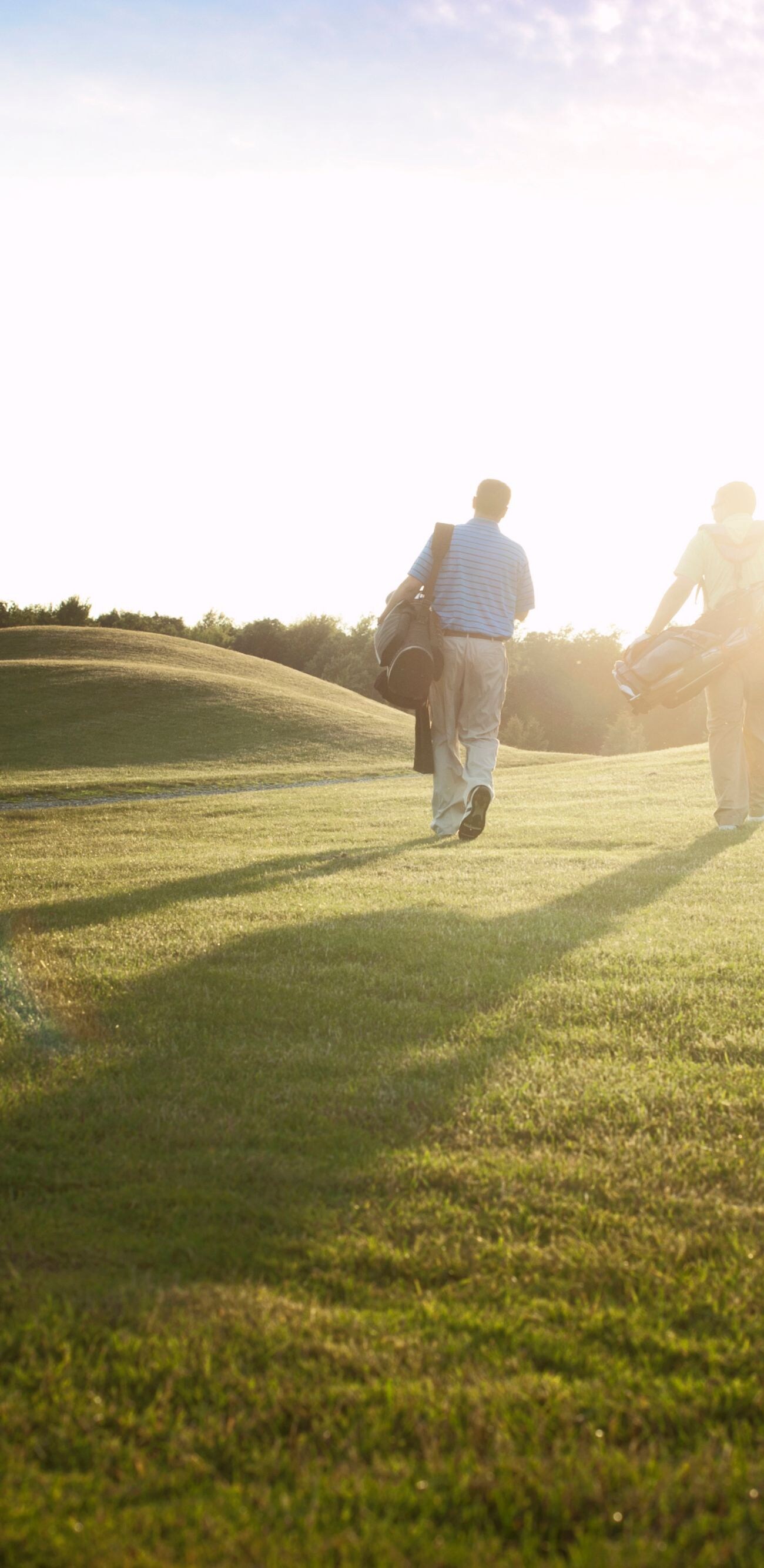 30-35 years old, beautiful, golf bags, golfers, green, mid adult man, millennial, together, trees, young man
