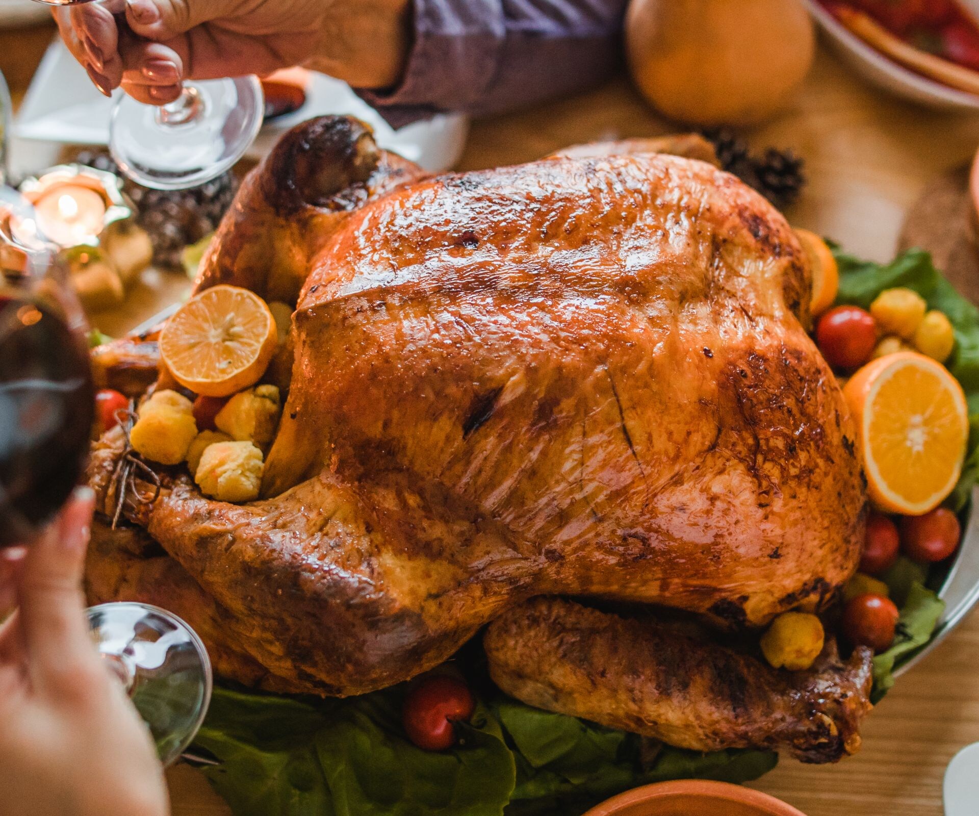 Cheers to this great Thanksgiving dinner!