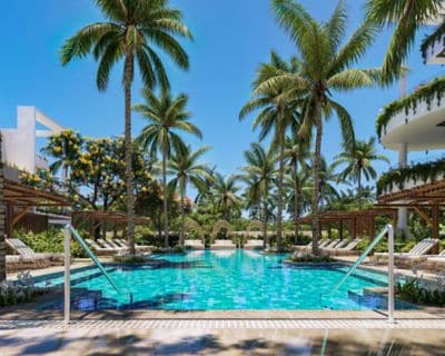 Outdoor Pool with Palm Trees 