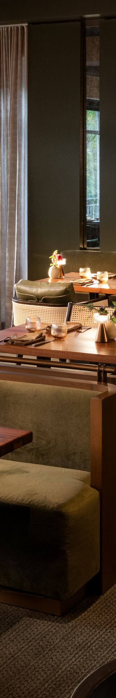 Warmly lit dining room with natural colors