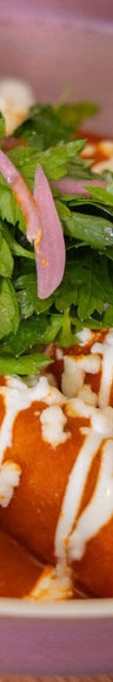 Cuisine 
