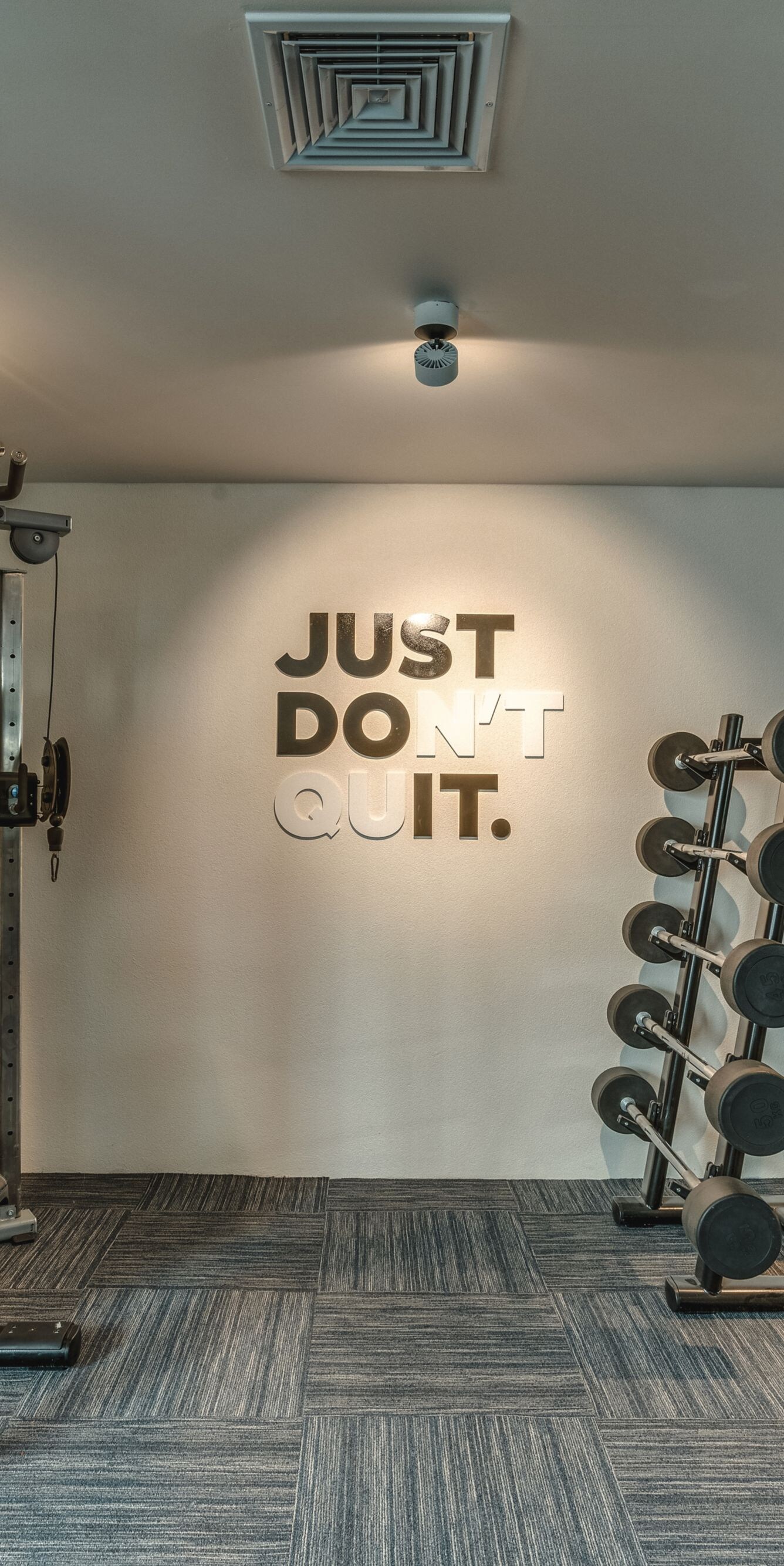 Gym weights rack and cable machine